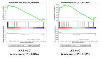 비알레르기성(NAE)/알레르기성(AE) 호산구 천식 환자/정상 대조군(C) 말초 혈액 단핵구 유전자 발현에서 PID_IL23_PATHWAY gene set enrichment