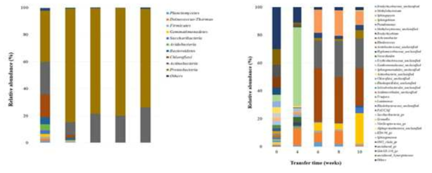 BP-3로 오염된 하천시료 내 미생물 군집의 메타제노믹스 분석(왼쪽: phylum, 오른쪽: genus)