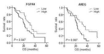 FGFR4 and AREG expression correlated with poor survival in patients with metastatic colon cancer