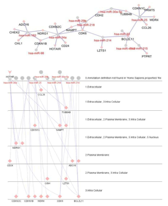 mirTarBase analysis