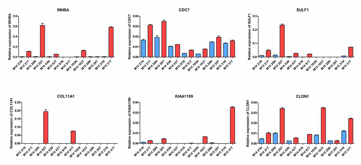 Expression of mRNA in gastric cancer patients. Q-PCR validated genes from gastric cancer and normal tissue. Blue and red represent normal and tumor tissue, respectively