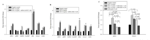 OXY-stimulated MUC2 expression was not decreased by siRNA-NaPRT and siRNA-NRK but was decreased by the inhibition of Nmnat. LS 174T cells were co-treated with siRNA-NaPRT (A), siRNA-NRK (B) or 10 μg/mL OXY for 24 h, and LS 174T cells were co-treated with gallotannin and 10 μg/mL OXY for 24 h (C). mRNA expression levels were quantified by qPCR. *p < 0.05, **p < 0.01 and ***p < 0.001, Student’s t-test, compared with the negative control