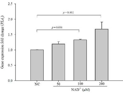 The expression levels of phospholipase A2 (PLA2) were increased in NAD+-treated cells. PLA2 expression levels were measured by qPCR. The data are expressed as the mean ± SD of three independent experiments performed in triplicate