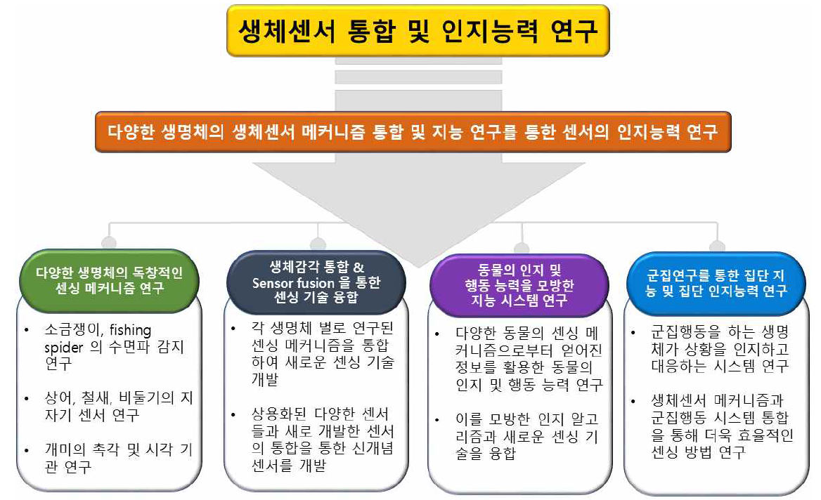 연구계획 모식도