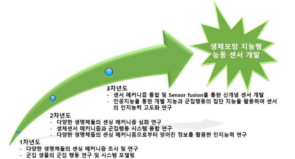 연차별 연구 계획