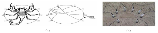 사막 전갈 모델의 지진파 진원지 파악하는 실험의 모습. (a) 사막 전갈의 신경망 모델과 3개의 억제신호연결의 모식도 (b) 8개의 마이크 센서를 이용한 실제 실험 사진