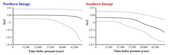 각 계통에 대한 Bayesian Skyline Plots