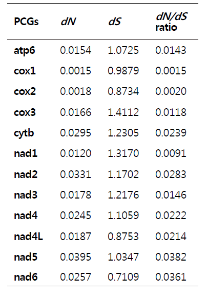 두 계통에 대한 미토콘드리아 PCGs 당 dN/dS 비율