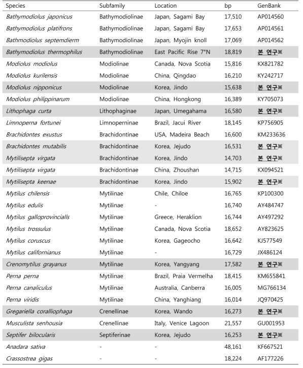 본 연구에서 분석 된 전체 미토콘드리아 게놈 길이 및 계통분석에 포함된 종 목록 ※: 본 연구에서 새롭게 분석 완료된 미토콘드리아 게놈 유전체 정보