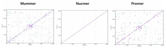 NCBI의 야생형 류코노스톡 메센테로이드스의 지놈데이터와의 본 과제에서 구축된 지놈 염기서열을 Mummer 프로그램을 이용한 비교 (세부 알고리즘: Mummer, Nucmer, Promer)
