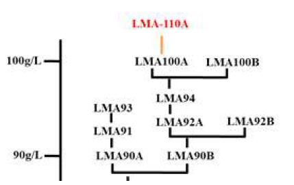 적응진화 최종 균주 LMA-110의 확보 계통수