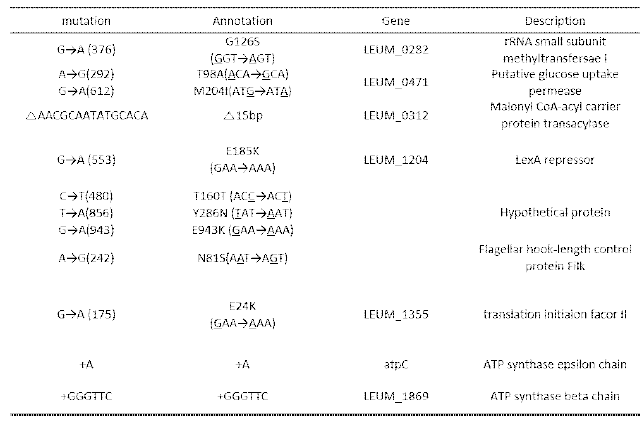 적응진화 균주 LMA-100A 유전자 변화에 따른 아미노산 변화 및 프레임 시프트 결과