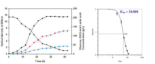 고농도 바이오케미컬 생산 균주 LMA-110A의 젖산 생성능 및 젖산 IC50 데이터