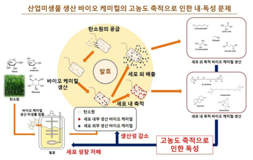 미생물 바이오 케미컬 생산 공정에서 발생하는 고농도 축적으로 인한 세포 내 독성 발생 및 생산성 감소