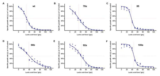 류코노스톡 메센테로이드 ATCC 8293 및 적응진화 균주들의 젖산에 대한 IC50 값 (0~120g/L 젖산)