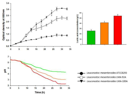 회분식 발효를 통한 젖산 생성에 따른 pH 및 젖산 생성량 및 성장곡선