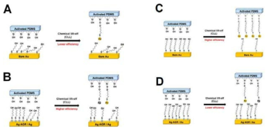 Chemical Lift-off process의 모식도. (A) 금 기판 위 짧은 유기분자; (B) Ag AGR/금기판 위의 짧은 유기분자; (C) 금 기판 위의 긴 유기분자; (D) Ag AGR/금기판 위의 긴 유기분자