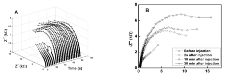(A) FT-EIS를 통해 6 번째 EIS측정중에 MHO를 용액 중에 주입하여 실시간 EIS를 측정한 실험 결과와 (B) (A)에서 선택된 SAM형성 전후의 EIS 측정치