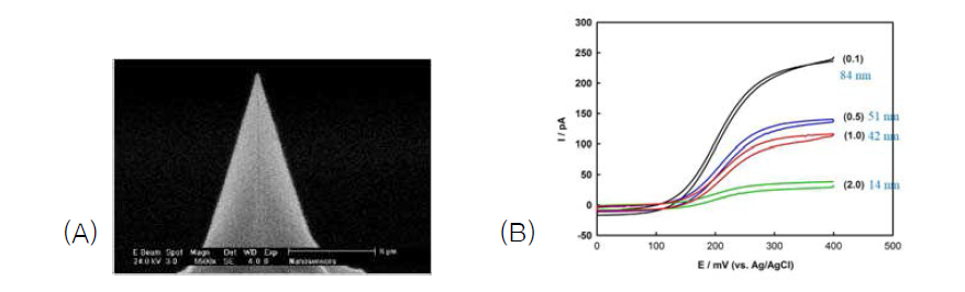 (A) Conductive Diamond Coated Tip-Non-Contact Mode-High Resonance Frequency-Reflex Coating (CDT-NCHR)의 SEM이미지 (nanosensor사 제공). (B) 아가로즈젤과 전도성 probe의 non-contact mode set-point에 따른 ferrocenemethanol의 CV. 숫자는 디스크 UME를 가정했을 때 지름