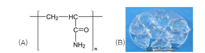 (A) PAM젤의 구조식과 (B) 제조된 PAM젤의 사진