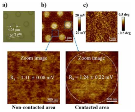 (a) 점무늬 문양을 가진 PDMS의 사진, (b) 정전기를 가진 Au의 KPFM이미지, (c) 동일 조건의 LFM 이미지. 확대 이미지는 비접촉/접촉 영역의 거칠기를 비교하여 mosaic 형성의 유무를 확인