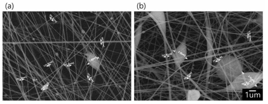 (a) 9wt% RH 39% 필터의 SEM사진, (b) 9wt% RH 50% 필터의 SEM사진