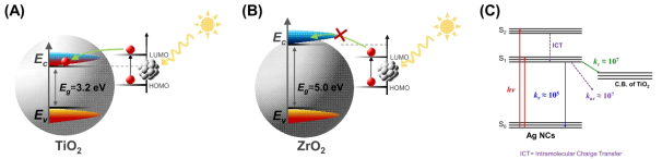 응집된 나노클러스터를 (A) TiO2와 (B) ZrO2에 접합하여 형성한 나노이종접합의 모식도. (C) 나노이종접합에서의 에너지 준위와 전자전이 및 재결합 경로 모식도