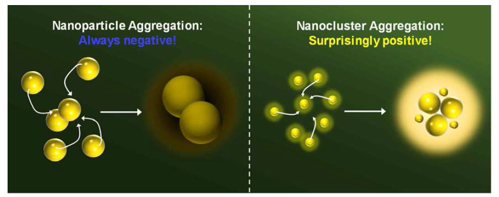 전통적인 나노입자의 응집의 부정적인 효과와 대조되는 새로운 나노클러스터 응집의 긍정적 효과