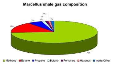 셰일 가스의 조성 비율을 나타낸 도식도