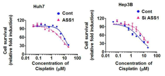 ASS1 발현량에 따른 시스플라틴 약물 감수성 확인