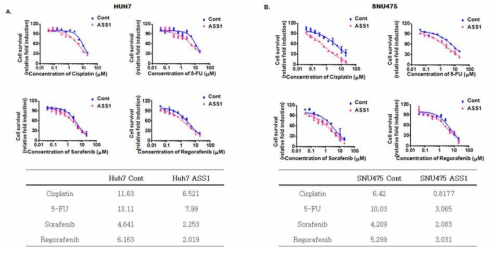 ASS1 과발현에 의한 악성간암종 세포주인 Huh7 (A)과 SNU475 (B)에서의 약물민감성