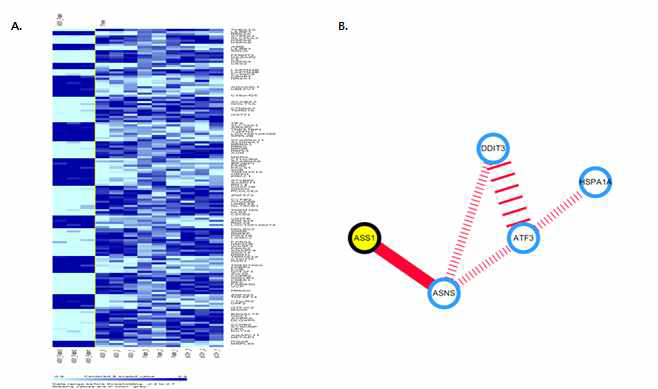 ASS1 과발현에 의한 유전자 변화 hit-map과 후보물질간의 관련성