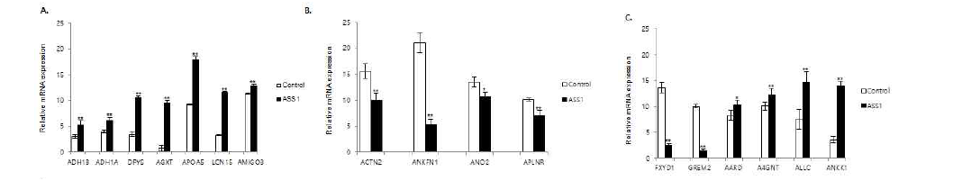 ASS1의 발현을 유도한 3차원 간암 구상체의 RNA sequence 결과와 Q-PCR 결과의 비교 분석 A. up-regulation 그룹, B. down-regulation 그룹, C. no match 그룹
