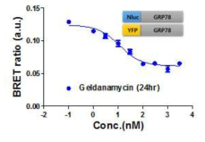 GRP78/GRP78간의 BRET 어세이에 대한 Geldanamycin의 용량 반응 곡선