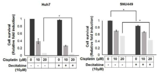 시스플라틴과 데시타빈 병용처리 시 세포 생존률 확인