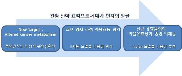 간암 신약표적으로서 대사인자의 발굴을 위한 파이프라인