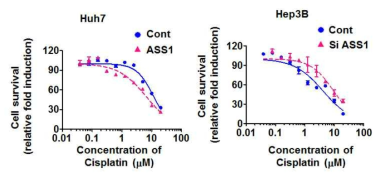 ASS1 발현량에 따른 시스플라틴 약물 감수성 확인