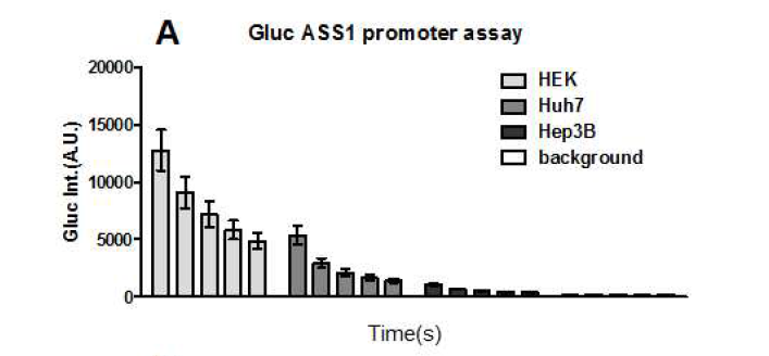 다양한 세포주에서의 Gluc ASS1 promoter assay 테스트