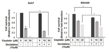 시스플라틴과 데시타빈 병용처리 시 세포 생존률 확인