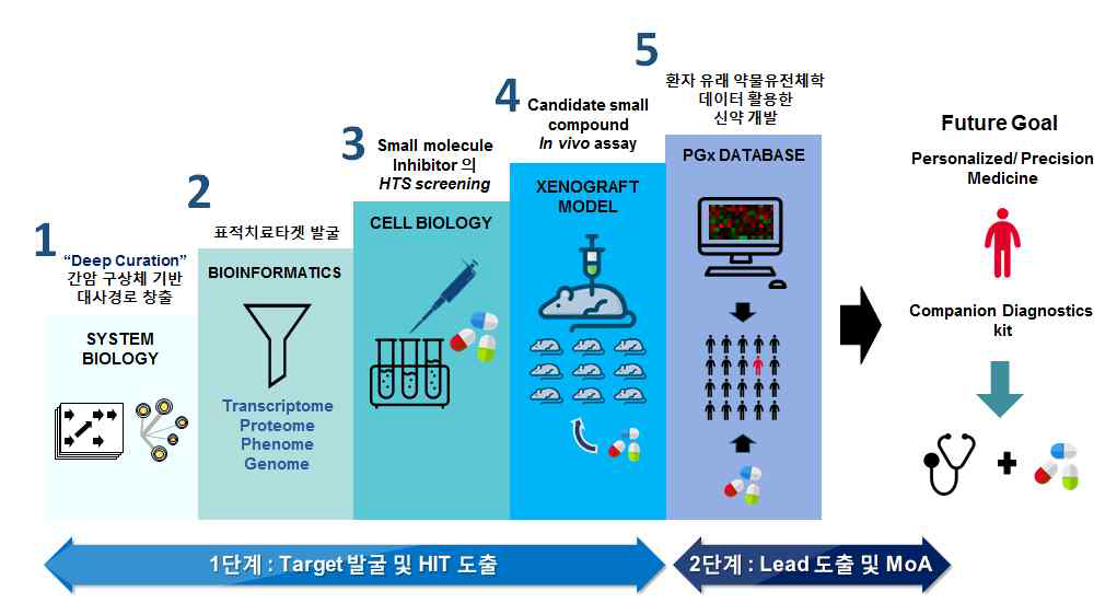 한국형 간암 특이 대사 조절을 통한 항암 치료제 개발 전략