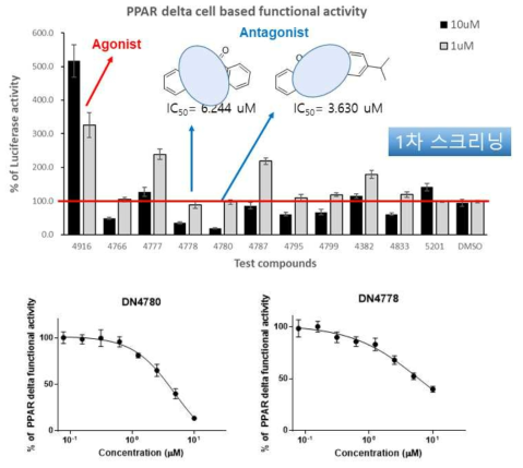 PPAR delta cell based functional assay법 활용한 antagonist 1차 screening