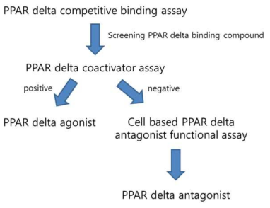 PPAR delta antagonist 스크리닝 전략 모식도