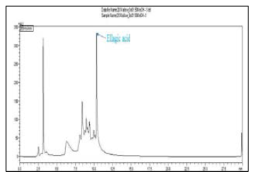 Pomegranate의 HPLC 크로마토그래피