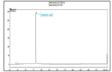 Cochineal의 HPLC 크로마토그래피