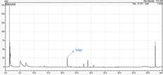 Bio Indigo 시료의 크로마토그래피 (600 nm)