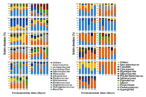 11개 된장의 발효기간에 따른 세균(좌), 곰팡이/효모(우) 군집변화
