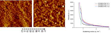 친수성 고분자의 함량 증가에 따른 이온클러스터의 AFM 이미지 및 SAXS 자료