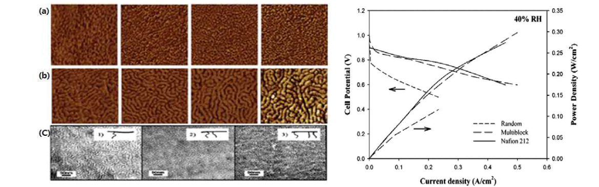 (a)랜덤공중합체/ (b)블록공중합체/ (c)그래프트의 모폴로지 이미지(좌), 랜덤공중합체/ 블록공중합체의 전기화학적 특성평가(우)
