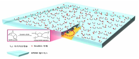 DCPD를 함유한 마이크로 캡슐이 분산된 EPDM의 자가 치유 거동 모식도