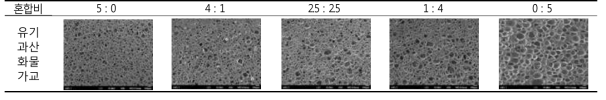 발포제 혼합비에 bio-EPDM 발포폼의 SEM image